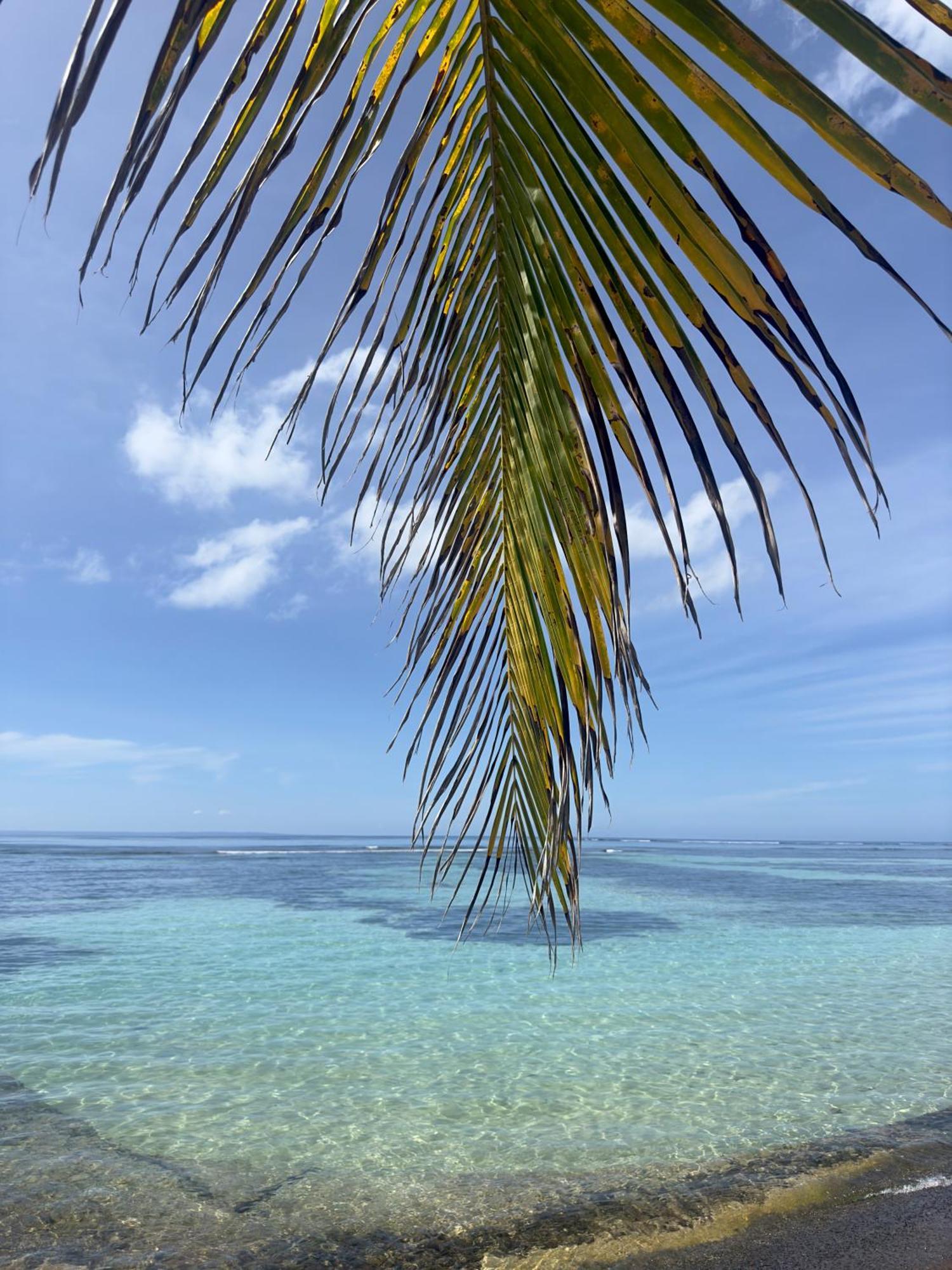 Unique : Pieds Dans L'Eau Face Au Lagon Sainte-Anne  Exteriér fotografie